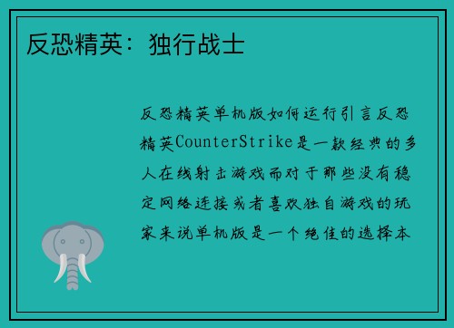 反恐精英：独行战士